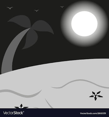 Black and white landscape a beach with palm vector image