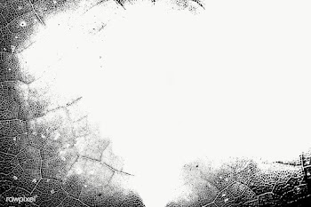 Black and white leaf textured frame design element | Free  transparent png - 2337487