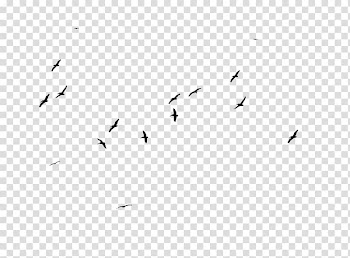 Black and white Line Point Angle, Birds transparent background PNG clipart