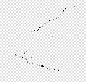 Black and white Line Point Angle, Birds transparent background PNG clipart
