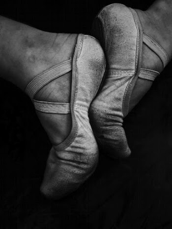 Black and white macro of pair | Free Photo - rawpixel
