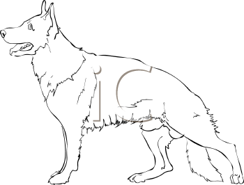 Black and White Outline of a German Shepherd - Royalty Free ...