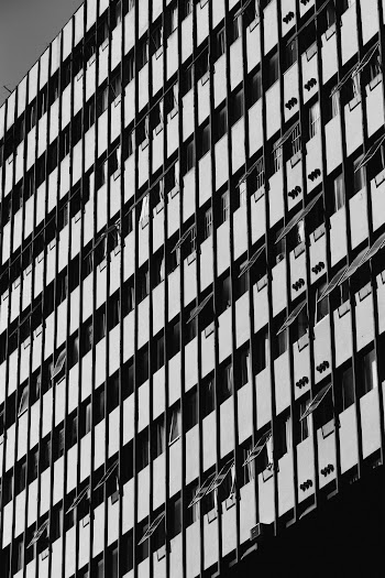 Black and White Photo of a Building 