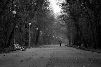 Black and White Photo of a Man Walking in the Park