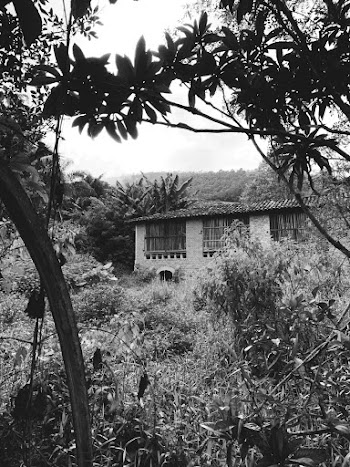 Black-and-White Photo of House