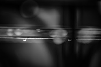 Black and White Photo of Water Drop