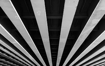 Black and White Photograph of Ceiling