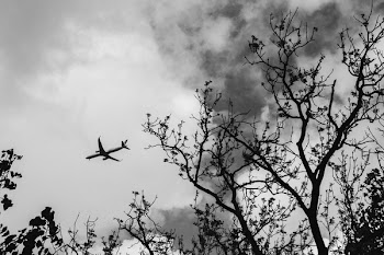 Black-and-White Photography of Airplane