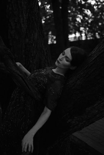Black and White Portrait of Woman in Dress · Free Stock Photo