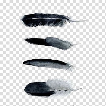 Black and white Printmaking Work of art Watercolor painting, Ink feather material transparent background PNG clipart