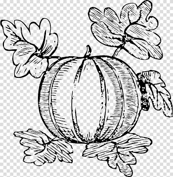 Black and white , pumpkin transparent background PNG clipart