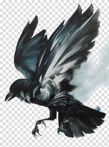 Black and white raven , Black Birds transparent background PNG clipart