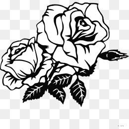 Black And White Rose Png (106+ images in Collection) Page 1