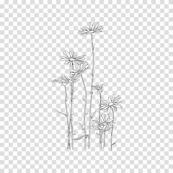 BLACK AND WHITE S, white flowers illustration transparent background PNG clipart