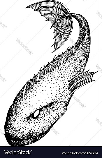 Black and white sea monster vector image