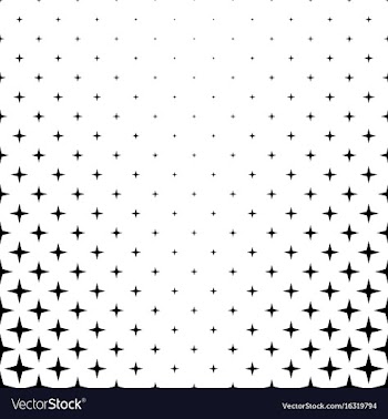 Black and white star pattern vector image