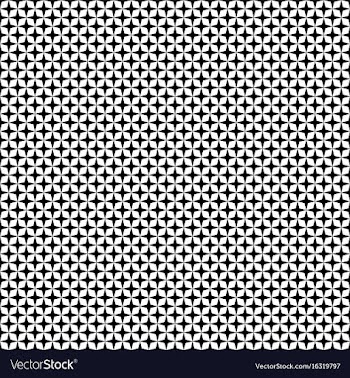 Black and white star pattern vector image