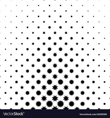 Black and white star pattern vector image