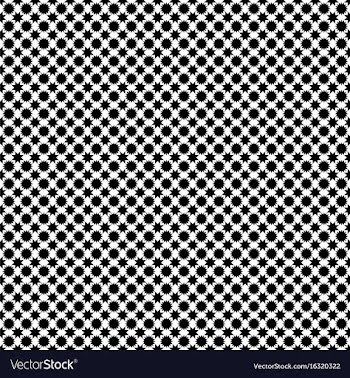 Black and white star pattern vector image