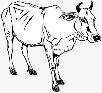 Black And White Stick Figure Cow, Cow Clipart, Cattle, Stick ...