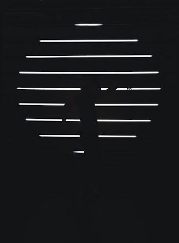 Black and White Stripes