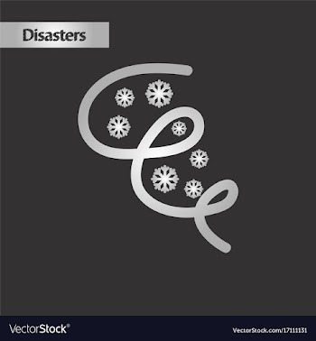 Black and white style ice storm vector image