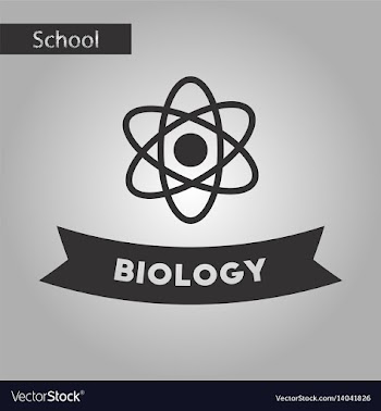 Black and white style icon biology molecule vector image