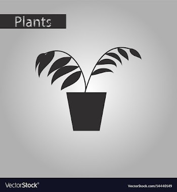 Black and white style icon ficus vector image
