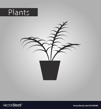 Black and white style icon ficus vector image