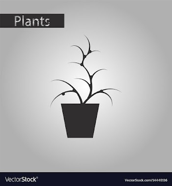 Black and white style icon flower in pot aloe vector image