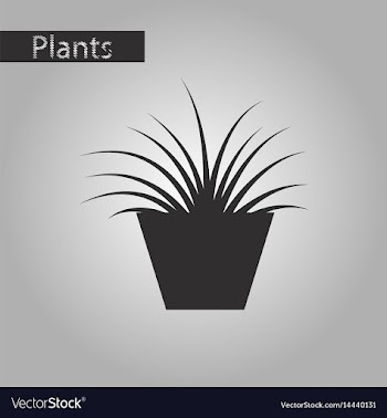 Black and white style icon flower in pot aloe vector image