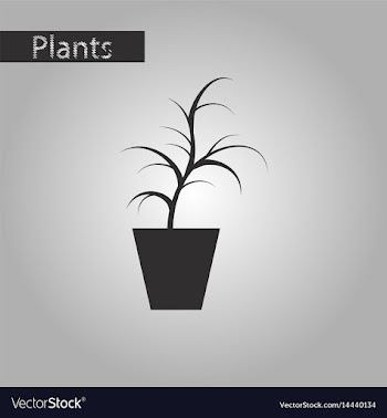 Black and white style icon flower in pot aloe vector image