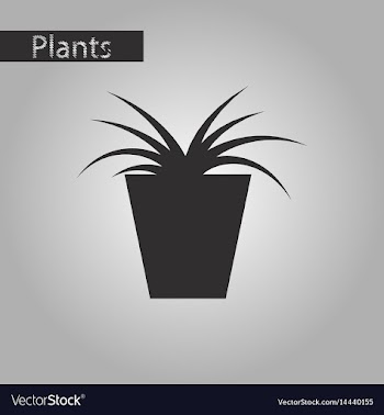 Black and white style icon flower in pot aloe vector image