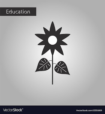 Black and white style icon flower vector image