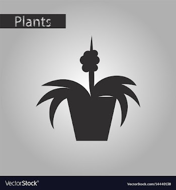 Black and white style icon flowers in a pot vector image