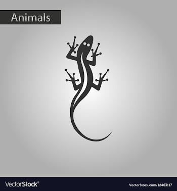 Black and white style icon lizard reptile vector image