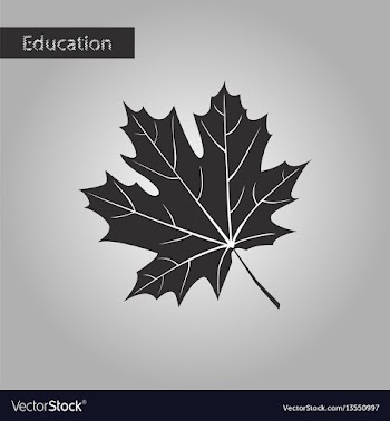 Black and white style icon maple leaf vector image