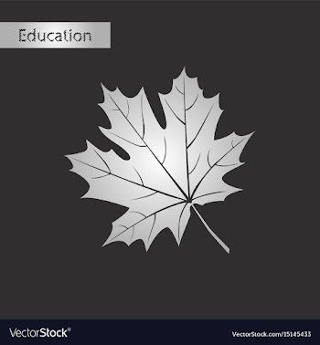 Black and white style icon maple leaf vector image
