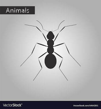 Black and white style icon of ant vector image