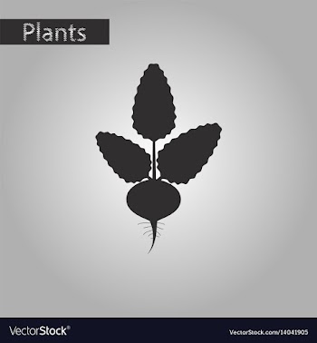 Black and white style icon of beet vector image