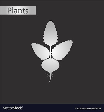 Black and white style icon of beet vector image