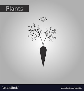 Black and white style icon of carrot vector image