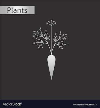 Black and white style icon of carrot vector image