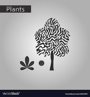 Black and white style icon of castanea vector image