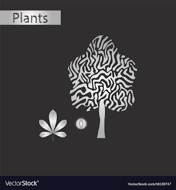 Black and white style icon of castanea vector image