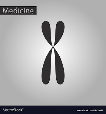 Black and white style icon of chromosome vector image