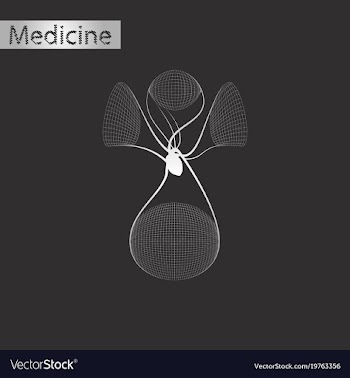 Black and white style icon of circulatory system vector image