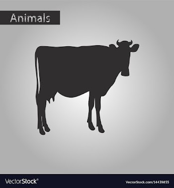 Black and white style icon of cow vector image