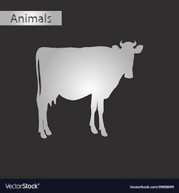 Black and white style icon of cow vector image