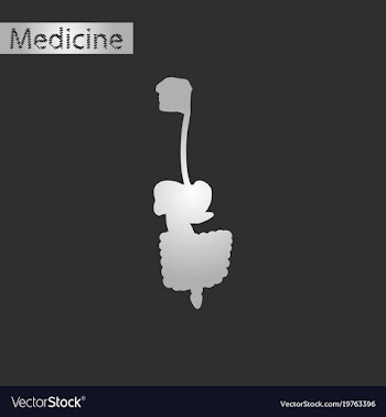 Black and white style icon of digestive system vector image